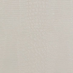 Zyniden Queen Upholstered Panel Headboard with Mirrored Dresser