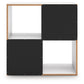 Onita Four Cube Organizer