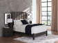Queen Panel Bed with Mirrored Dresser, Chest and Nightstand