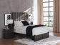 Fraluna Queen Panel Storage Bed, Dresser and Mirror