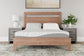 Ashley Express - 8 Inch Memory Foam California King Mattress