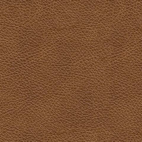 Carianna Loveseat