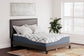 Ashley Express - 14 Inch Chime Elite 2.0 California King Mattress