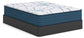 Ashley Express - Limited Edition Plush 3.0  Mattress